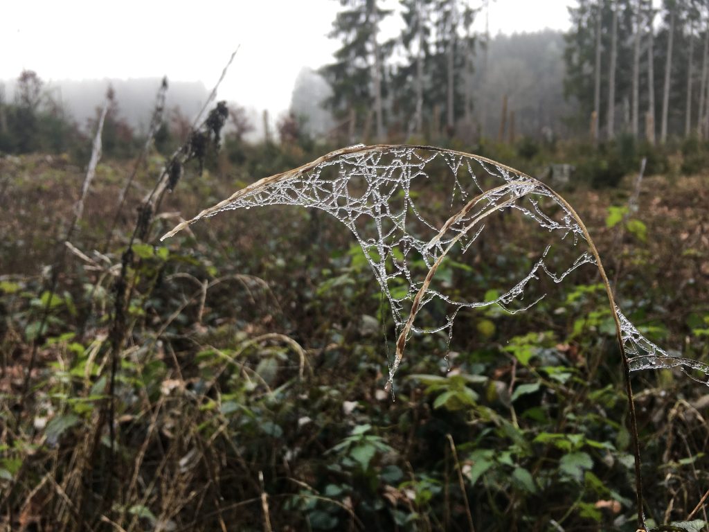 fragile Architektur