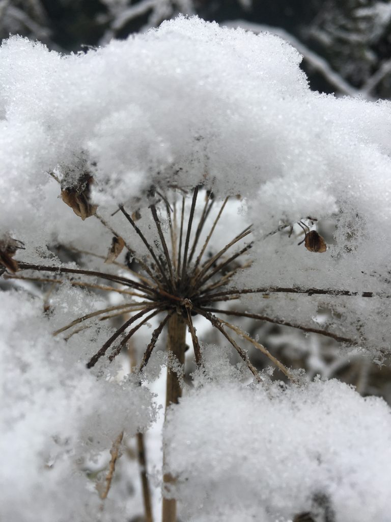 Schnee-Schirm