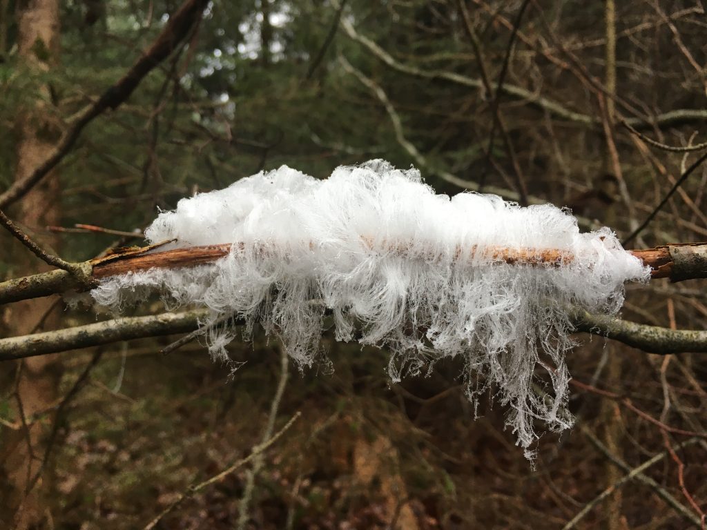 Naturwunder Haareis