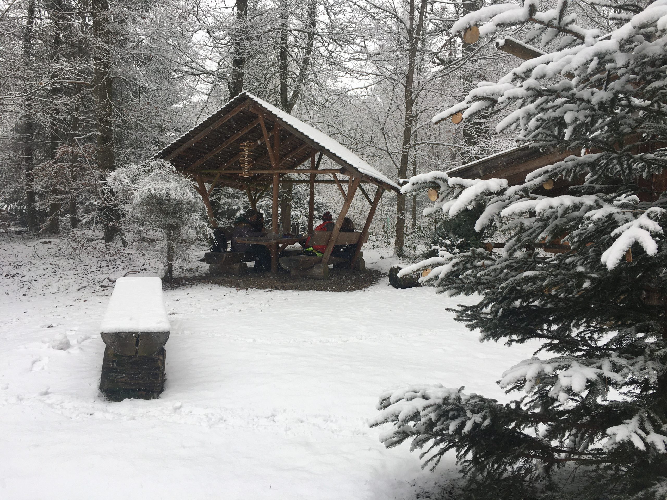 Winter im Weisinger Forst