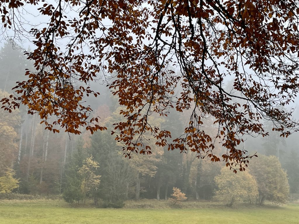 Blick zur Schwarzen Tafel