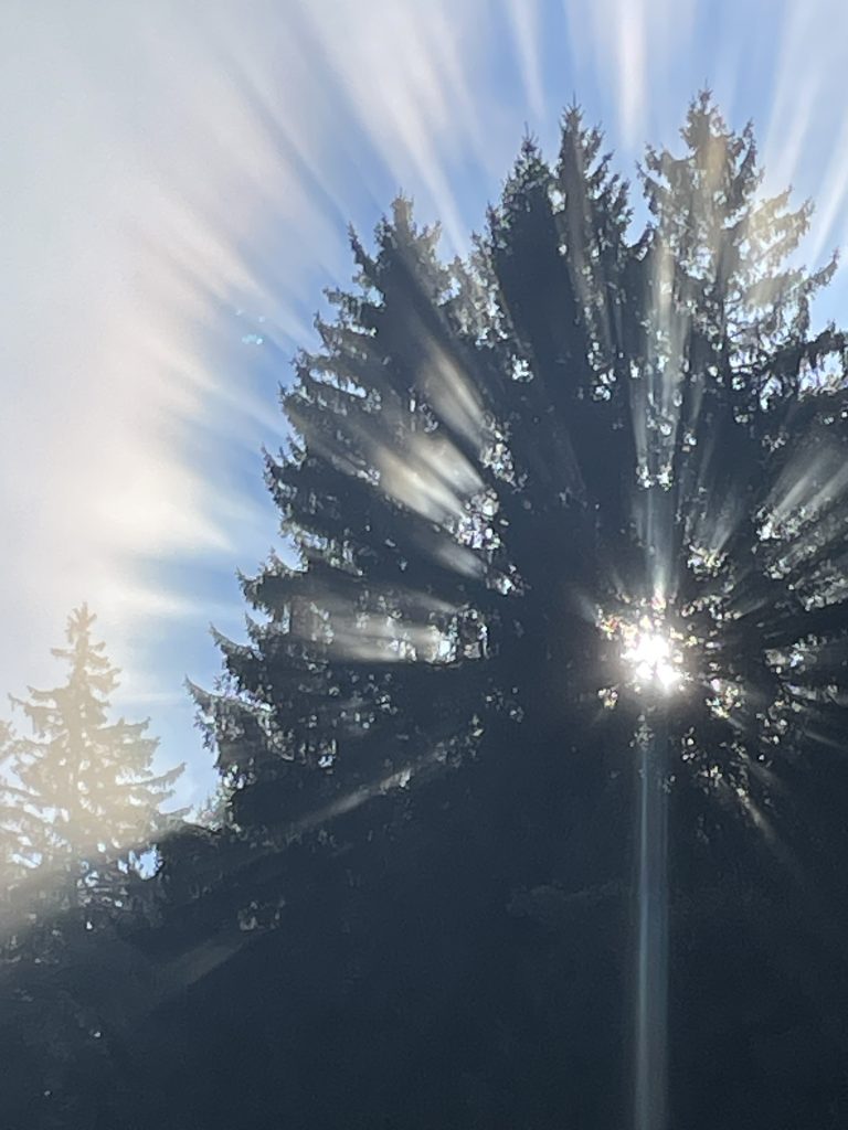 Winter-Sonne