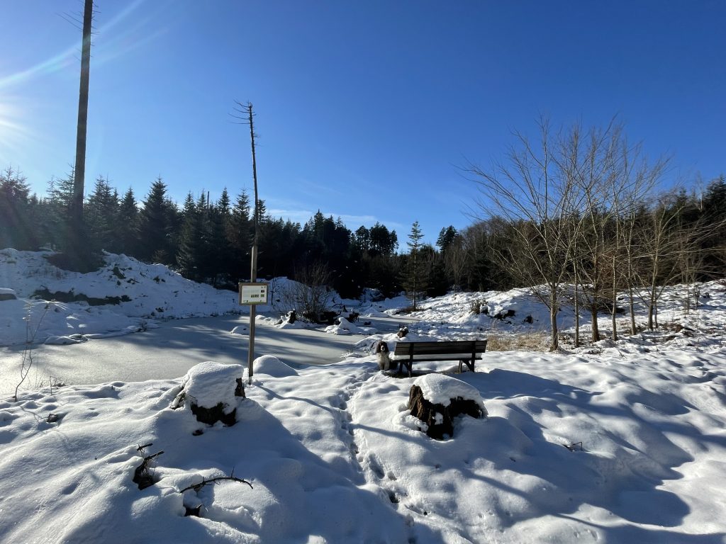 Jägerhalde