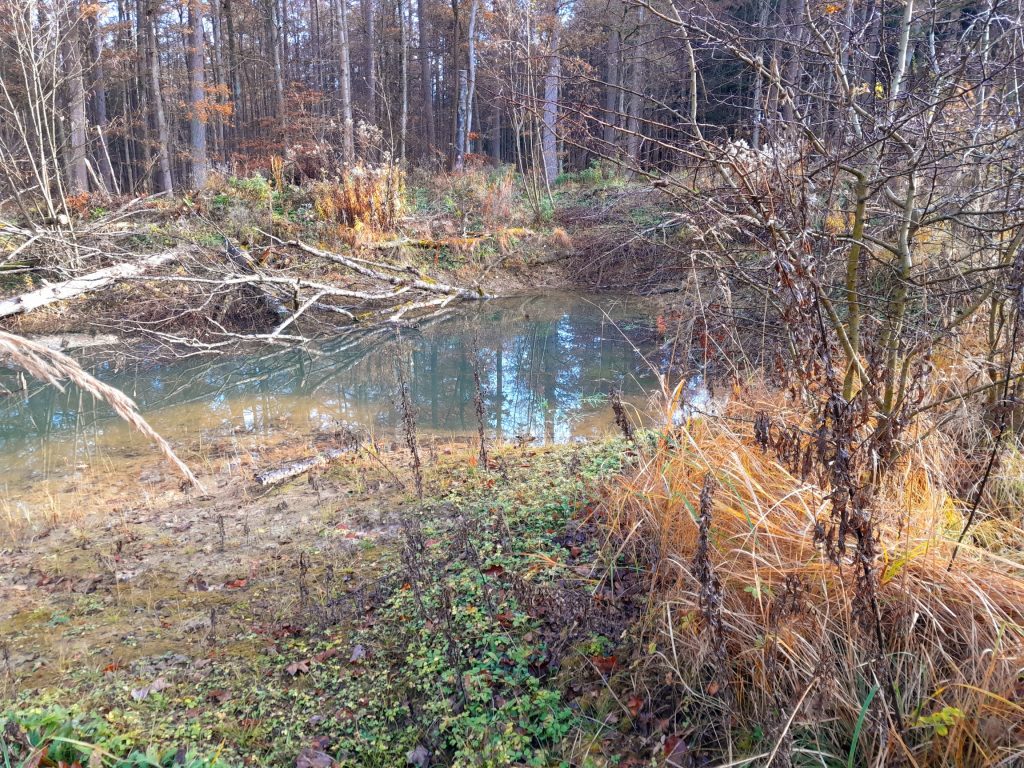 Himmelreich östlicher Naller