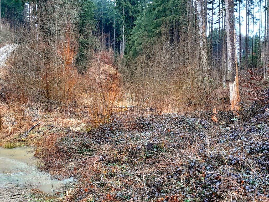 Retention Jägergehau