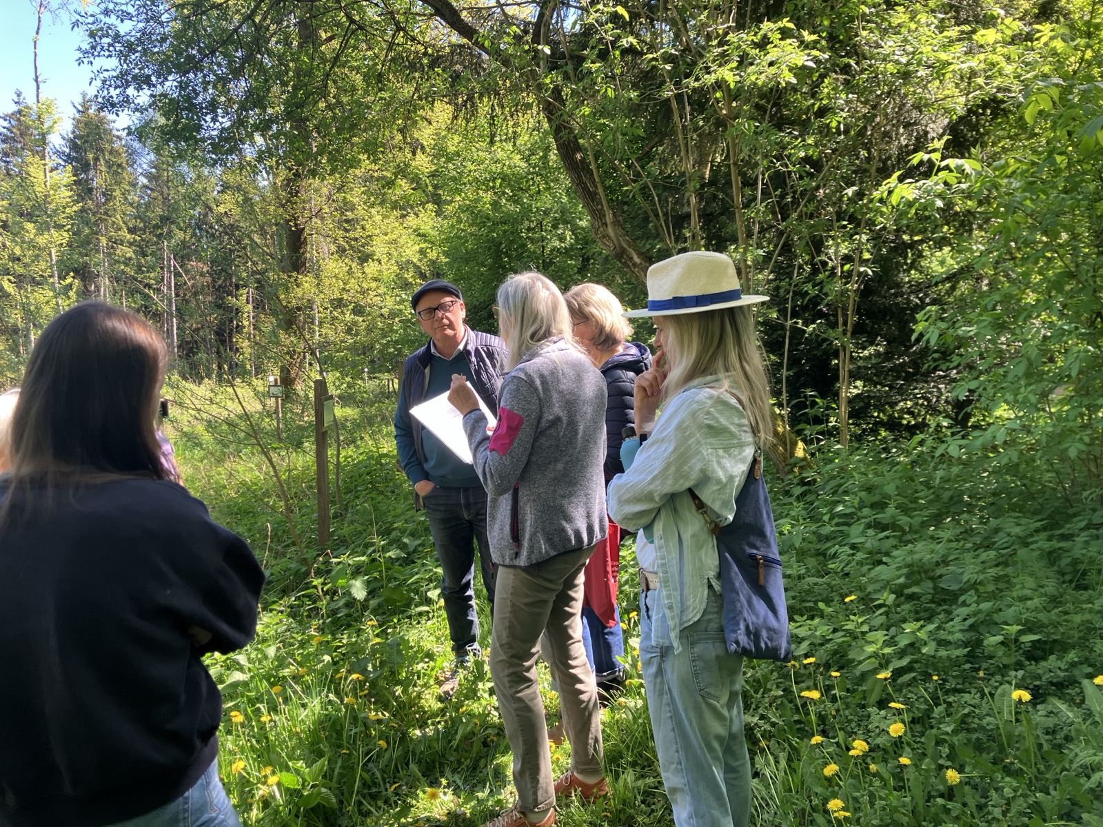 Kräuterspaziergang: der Wald als Apotheke und Speisekammer